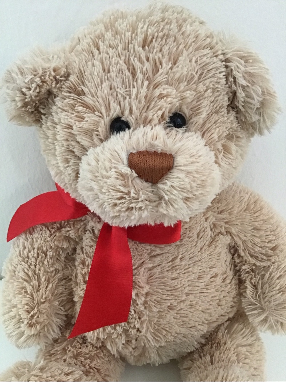 Authentic Gund Teddy Bear